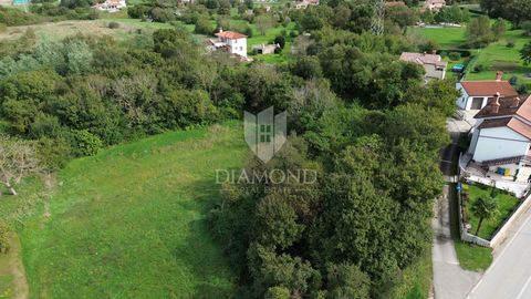 Location: Istarska županija, Kršan, Kršan. At an attractive location in Kršan, land with a total area of 31,717 m2 is for sale, of which 1,303 m2 belongs to the construction zone, while 30,414 m2 is agricultural land. The construction plot is located...