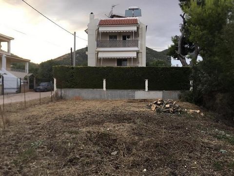 Te koop een perceel van 313 m², binnen stadsplan in Nea Makri, Attica. Bouwvergunning voor 225 m².  Het perceel ligt in een prachtige woonwijk, met mooie naburige villa's en permanente bewoners. Het ligt op 1 km van de zee en het strand van N. Makri....