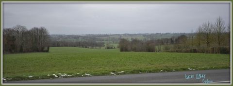 photo no. 1