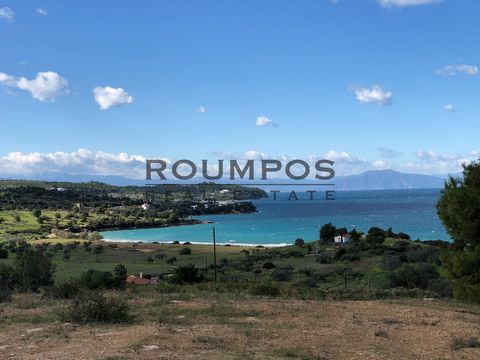 A vendre un excellent terrain de 8.600 m² sur la mer, dans la région d’Ermioni. Ce terrain offre une vue imprenable sur la mer et combine la tranquillité de la nature avec le luxe de la vie en bord de mer. C’est l’emplacement idéal pour construire vo...