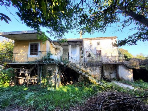 ISTRIË, PIĆAN - Twee stenen gebouwen met een tuin De gemeente Pićan is een gemeente in de provincie Istrië, gelegen in het centrale deel van Istrië, omgeven door velden en wijngaarden. Het gebied van de gemeente Pićan heeft een waardevol natuurlijk e...