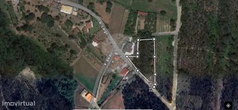 Terreno para venda  Terreno Rústico Urbanizável no lugar do Vidoeiro em Sangalhos -Anadia Este imóvel é perfeito para construir uma moradia térrea, 2 ou mais pisos com 4 frentes,  em zona residencial calma com bons acessos e excelente exposição solar...