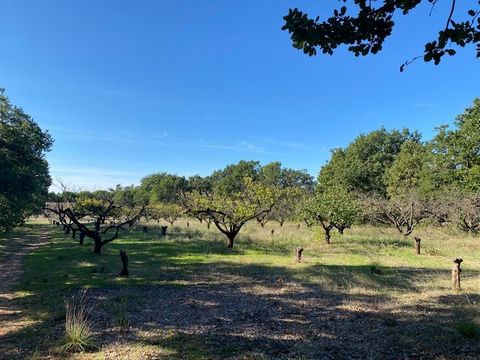 In Saint Laurent la Vernède, einem Dorf mit lokalen Geschäften und Schulen, bietet Ihnen Charme & Terroir Immobilier ein sehr schönes, nicht teilbares Baugrundstück von 1300m2. Flach und mit Obstbäumen bepflanzt, genießt es einen freien Blick. Außerh...