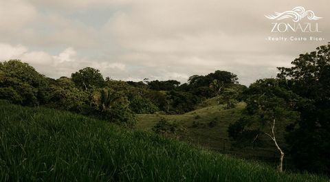 Scopri un'opportunità di vita unica. Lotti in vendita a soli 5 minuti dalla spiaggia di Santa Teresa .   Il terreno per questo progetto era un tempo terra per il bestiame, che sarà riforestata per creare un corridoio per la fauna selvatica. La comuni...