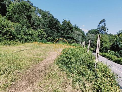 We present a unique plot of land with 2400m² in Valdozende, Terras de Bouro! With construction feasibility and a privileged location, very close to Albufeira da Caniçada. ️ Ideal for those who dream of a home surrounded by nature, this land offers st...