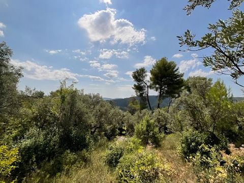 Vue Panoramique et Cadre Provençal pour un Projet Haut de Gamme Offrez-vous un projet immobilier d'exception dans l'arrière-pays varois, au coeur de la Provence. Ce terrain de 3015 m² à 199 000 euros est idéal pour une résidence secondaire de standin...