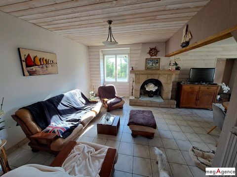 photo no. 6