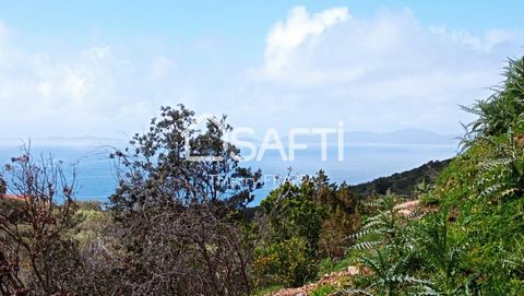 Rare opportunity on the south coast: 2,800 m² leisure plot offering a magnificent panoramic view of the Sanguinaires Islands. South-facing exposure guaranteeing optimal sunlight. Serviced plot with: Direct access, Electrical connection, and Water con...