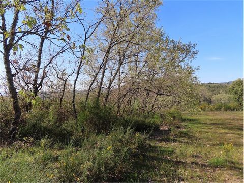 Biologisch land met 14.280m2 met uniek uitzicht In een zeer natuurlijke omgeving Met volwassen eiken, kurkbomen en enkele dennen Geweldige biologische grond, ideaal om te kweken Er moet een boare oll worden gemaakt (ongeveer 3.000,00€) voor drinkwate...