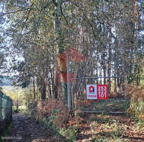 Grundstück zum Verkauf mit 4500m2 in Gondiães, Vila Verde! Grundstück in einem landwirtschaftlichen Gebiet mit Blick auf einen Bach; Guter Zugang; Plan; Ausgezeichnete Sonneneinstrahlung! Wir kümmern uns um Ihre Hypothek, ohne Kosten und Bürokratie. ...