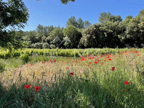 Familiär geführtes Weingut im Zentrum des Var, im Herzen der Appellation Côtes de Provence, mit einer Fläche von ca. 55 Hektar, ergänzt durch gepachtete Parzellen. Die Größe des Weinbergs, die Sichtbarkeit, die Lage und die Konfiguration des Anwesens...