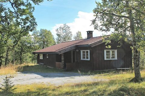 La cabaña está ubicada en un bosque de abedules protegido, en una parcela tranquila y soleada con una vista hacia abajo, pero no sobre el estanque Bøllen. Hay un barco en 2 lagos de montaña - a 2,3 km de la casa para uso gratuito por acuerdo con el p...