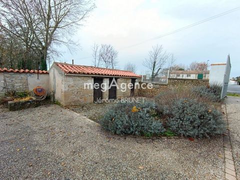 photo no. 11