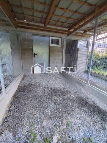 photo no. 11