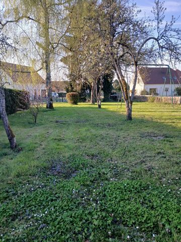 photo no. 10