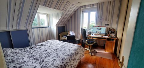photo no. 11