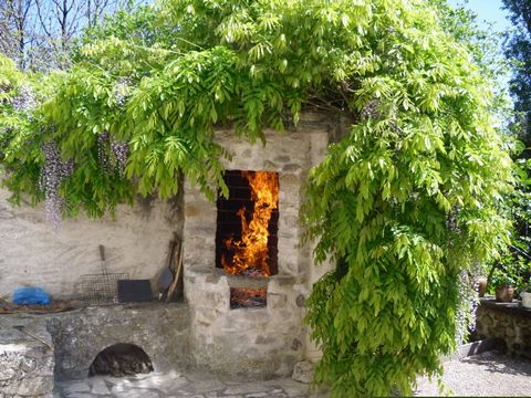 photo no. 6