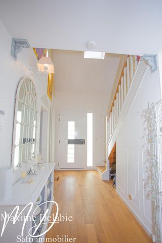 photo no. 6