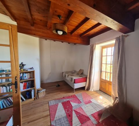 photo no. 18