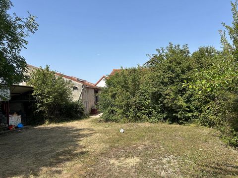photo no. 15