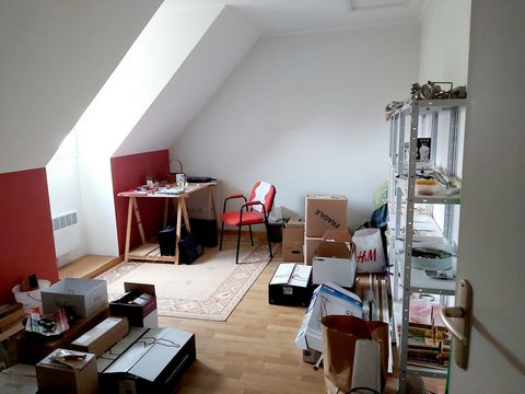 photo no. 8