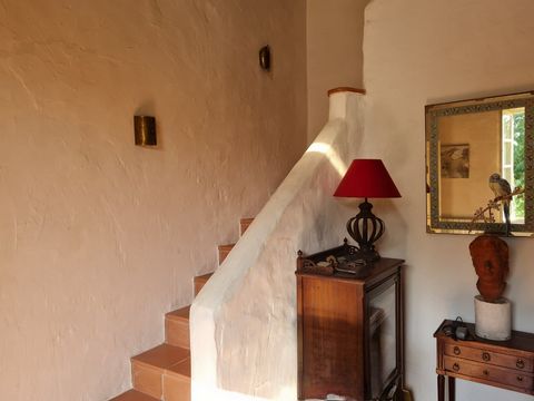 photo no. 11