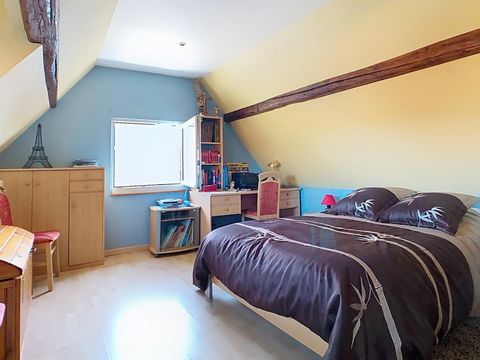photo no. 10