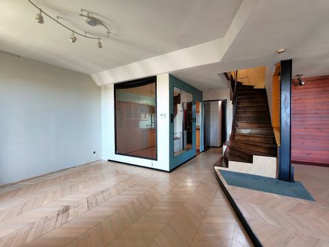 photo no. 4