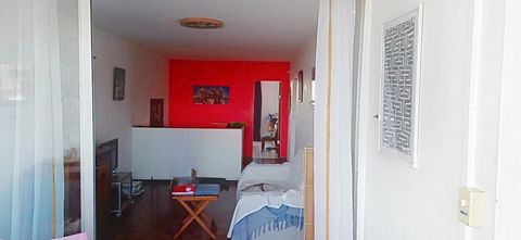 photo no. 5