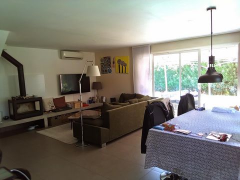 photo no. 8