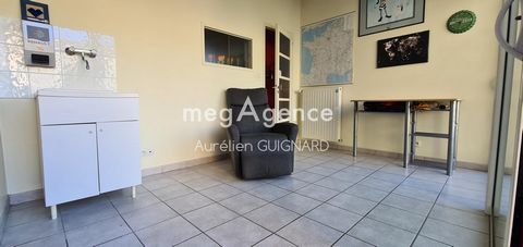 photo no. 12