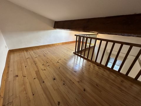 photo no. 11
