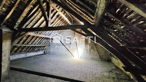 photo no. 9