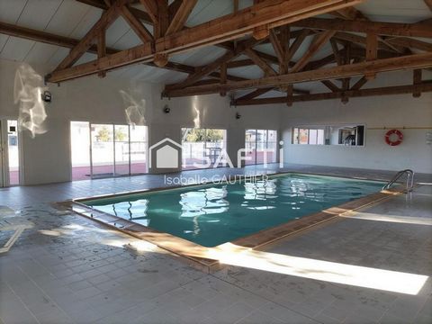 photo no. 8