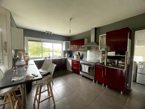 photo no. 16