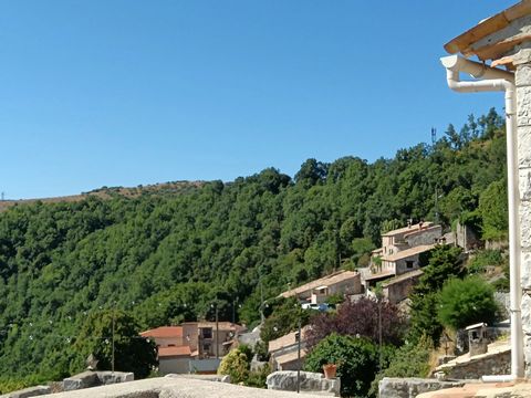 photo no. 16