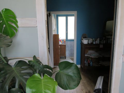 photo no. 6