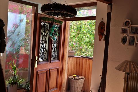 photo no. 8