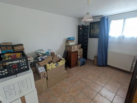 photo no. 15