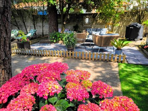 photo no. 11