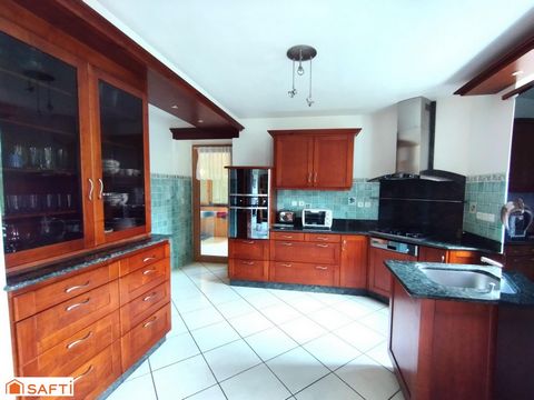 photo no. 11