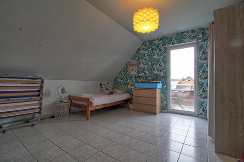 photo no. 14