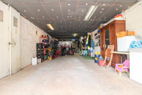 photo no. 17