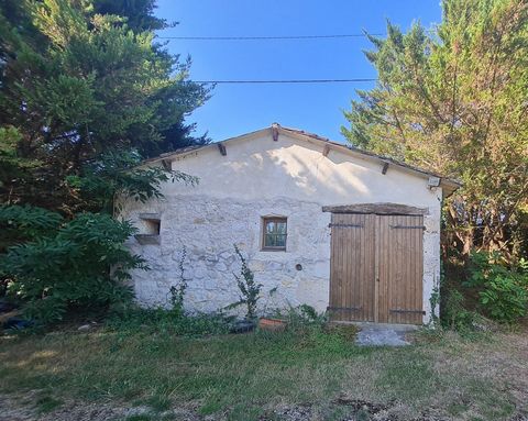 photo no. 17