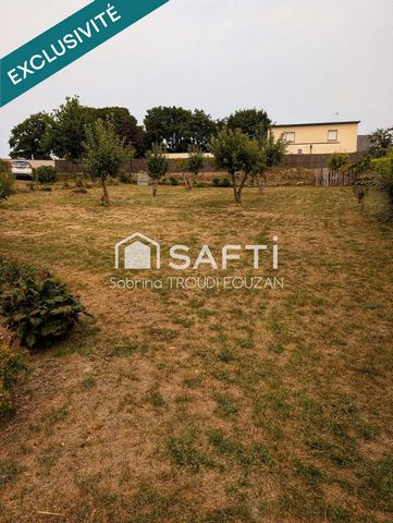photo no. 17