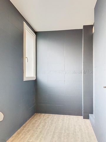 photo no. 11