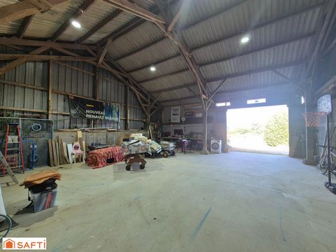 photo no. 4