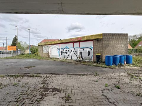 photo no. 1