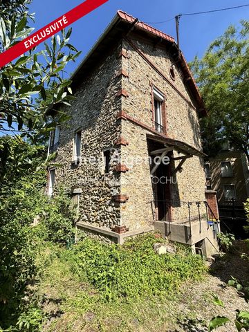 photo no. 15