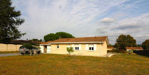 photo no. 12